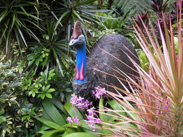 Fibreglass cassowary