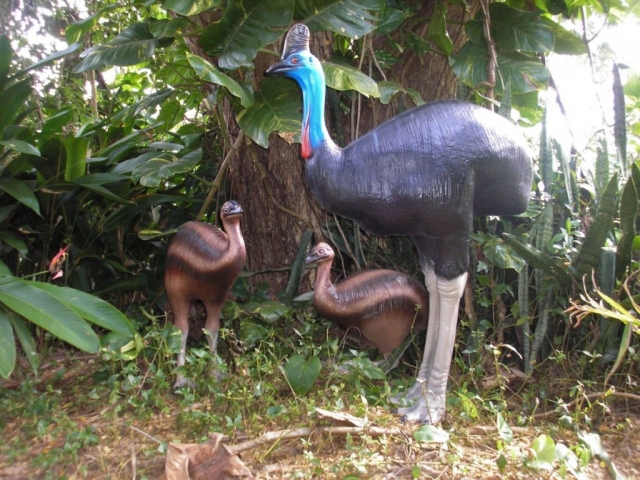 Fibreglass animal manufacturer Australia - cassowary and chicks