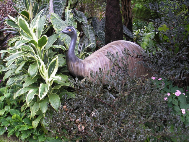 Fibreglass animal manufacturer Australia - emu