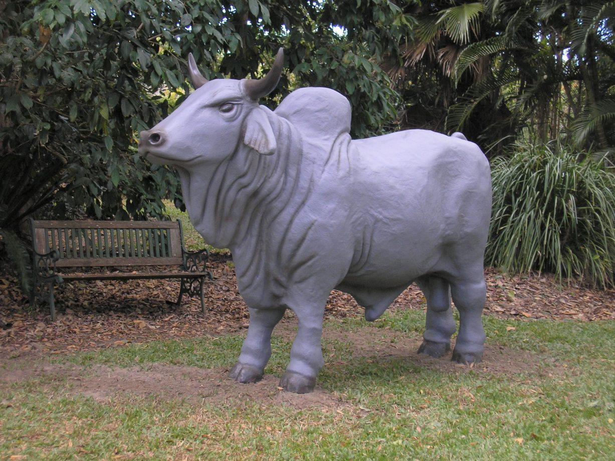 fibreglass bull sculpture manufacturer