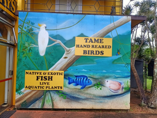 artwork for shop signage
