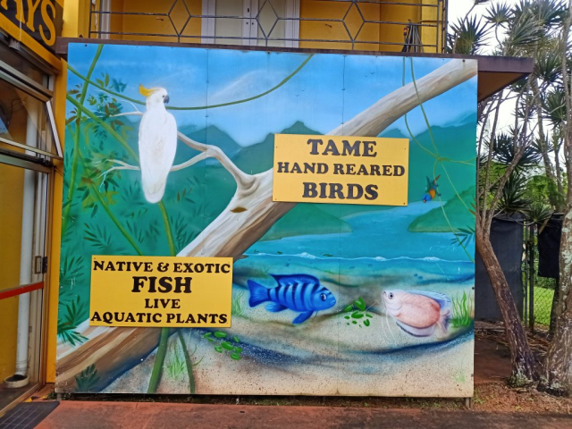 artwork for shop signage