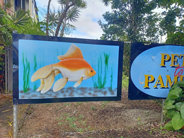 artwork for unique shop facades